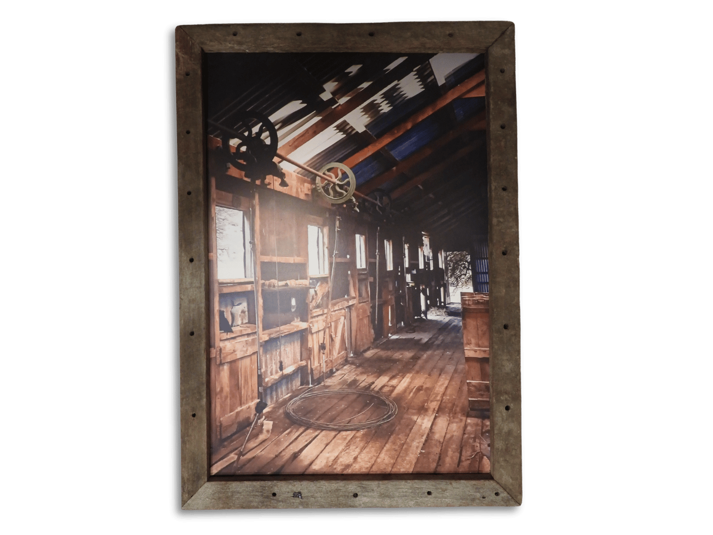 Kiwi Shearing Shed (A1)