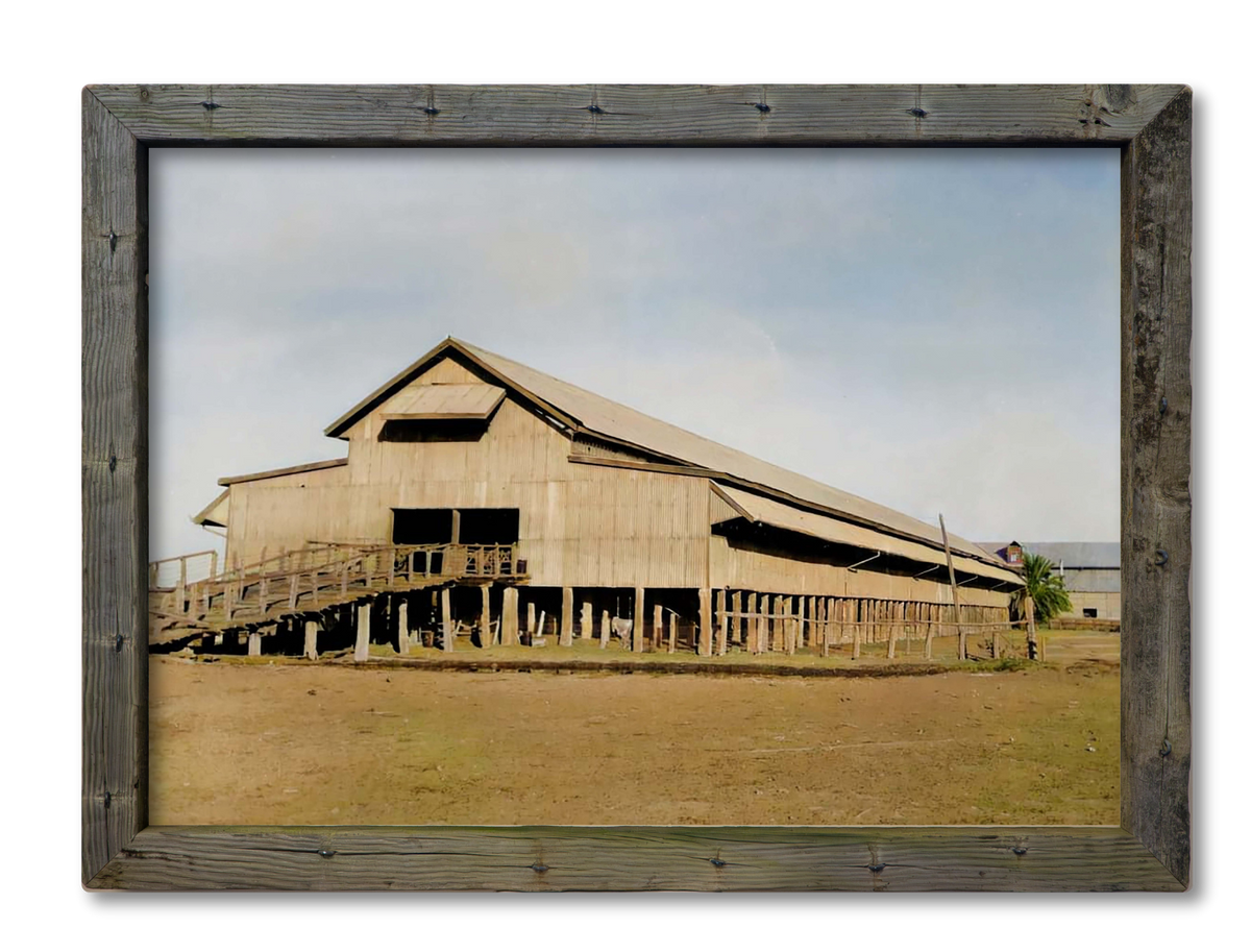Shearing Shed Exterior