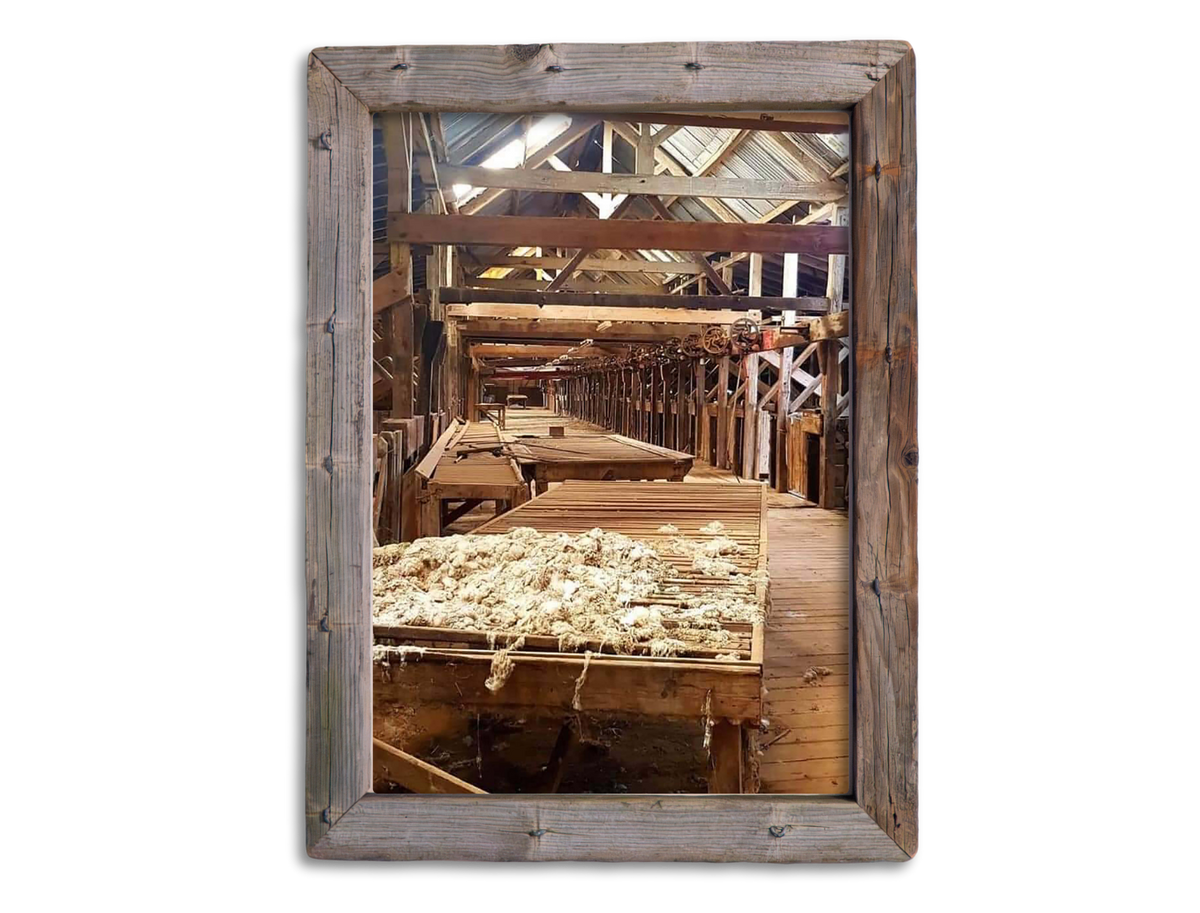 Shearing Shed
