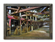 Shearing Shed