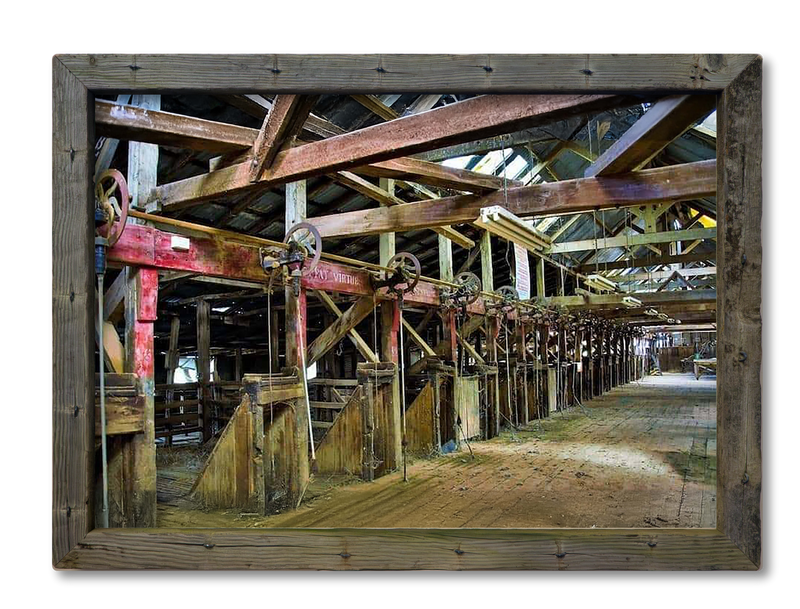 Shearing Shed