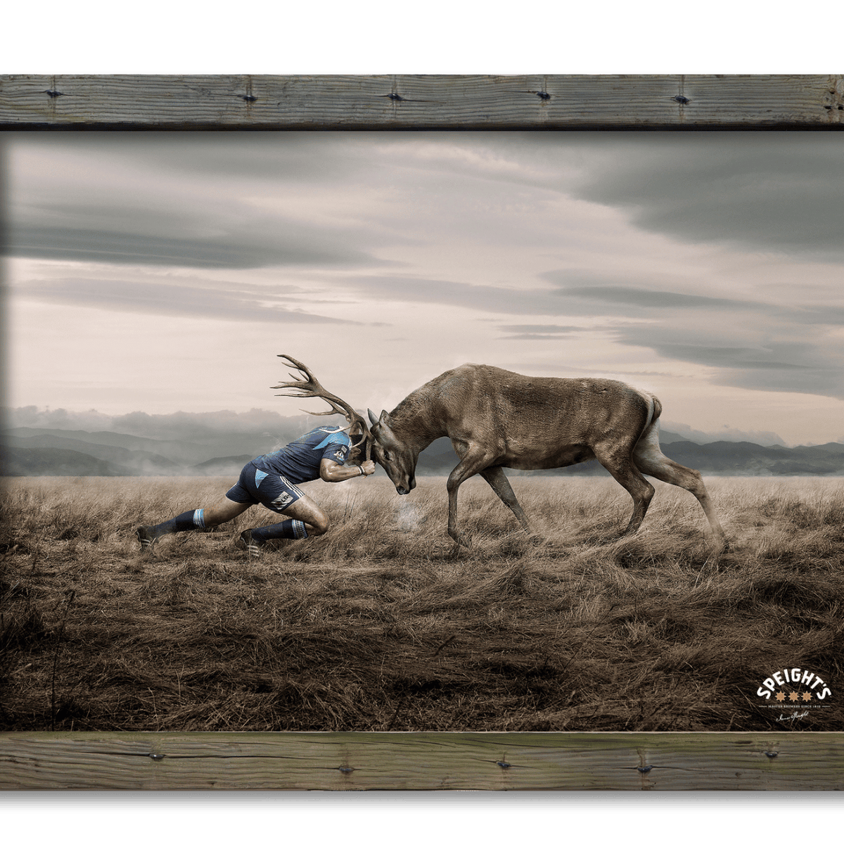 Speights - Stag v Man - Blues