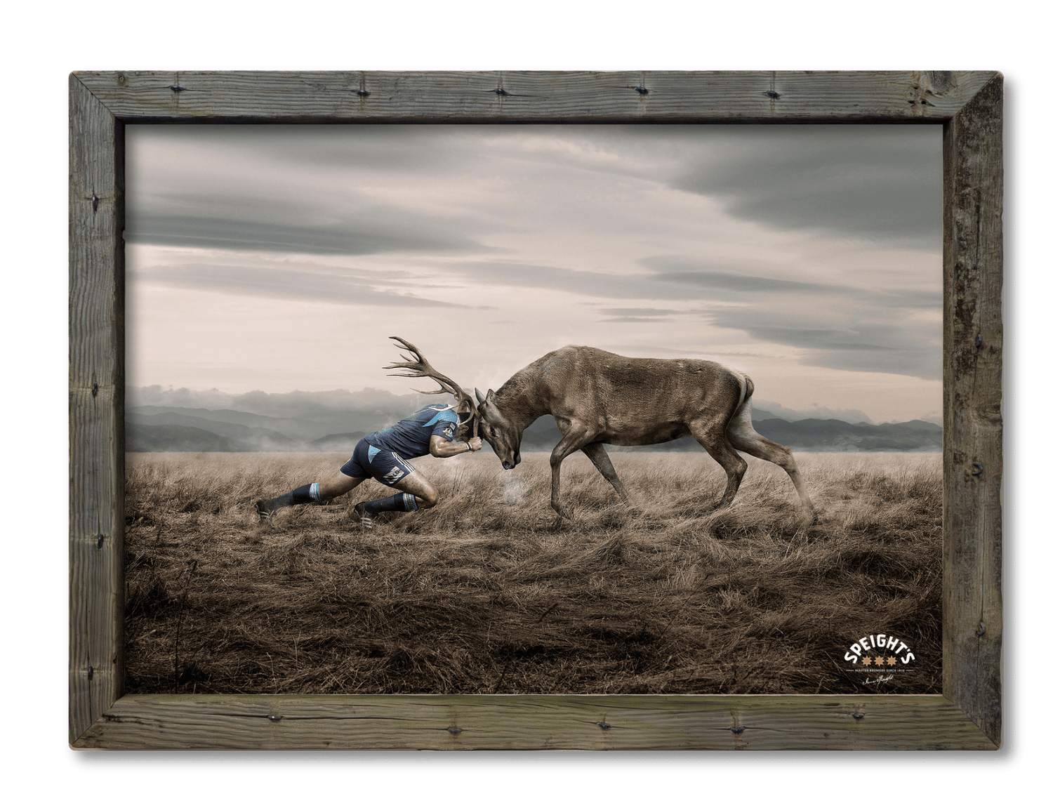 Speights - Stag v Man - Blues