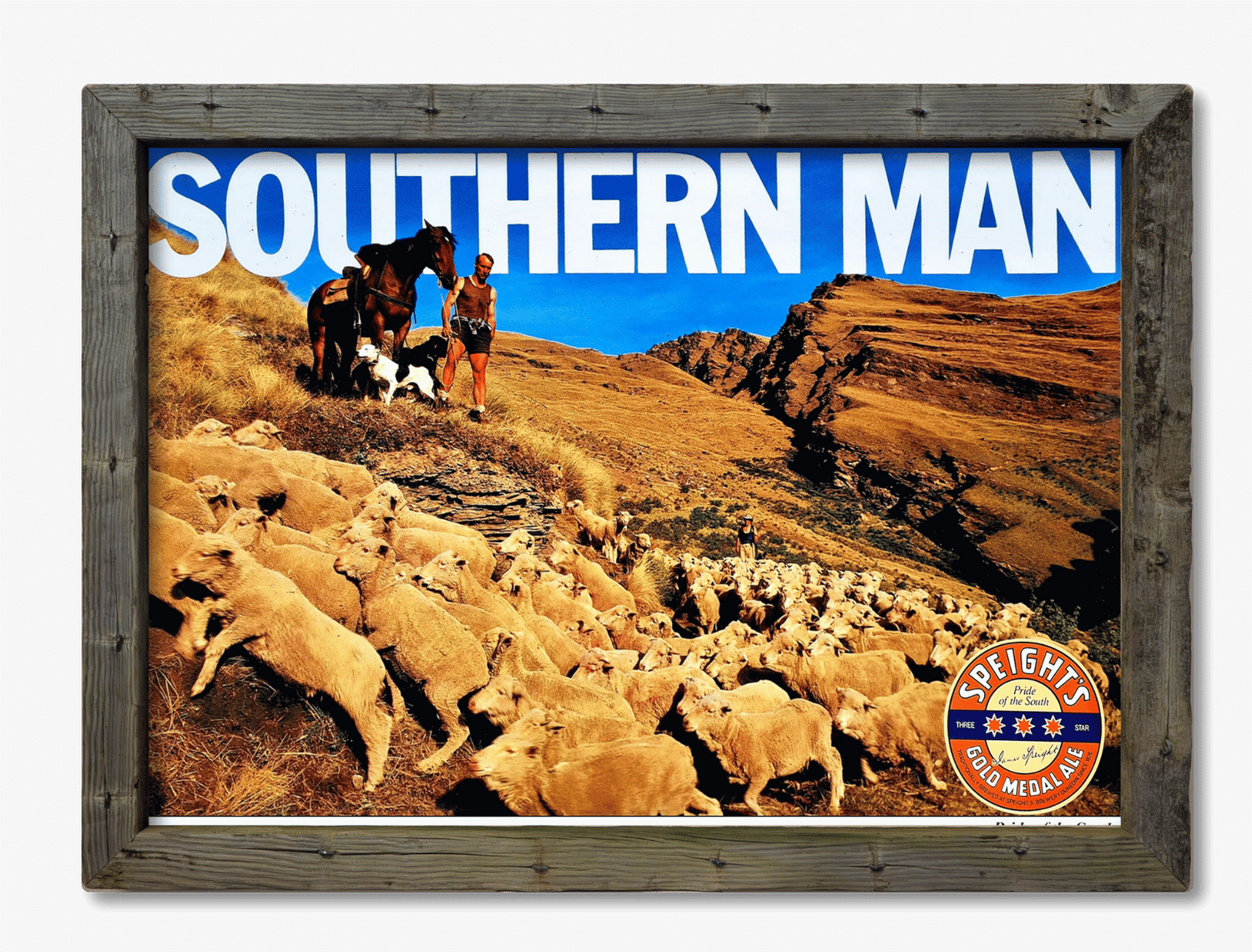 Speights - Southern Man - Sheep Herding