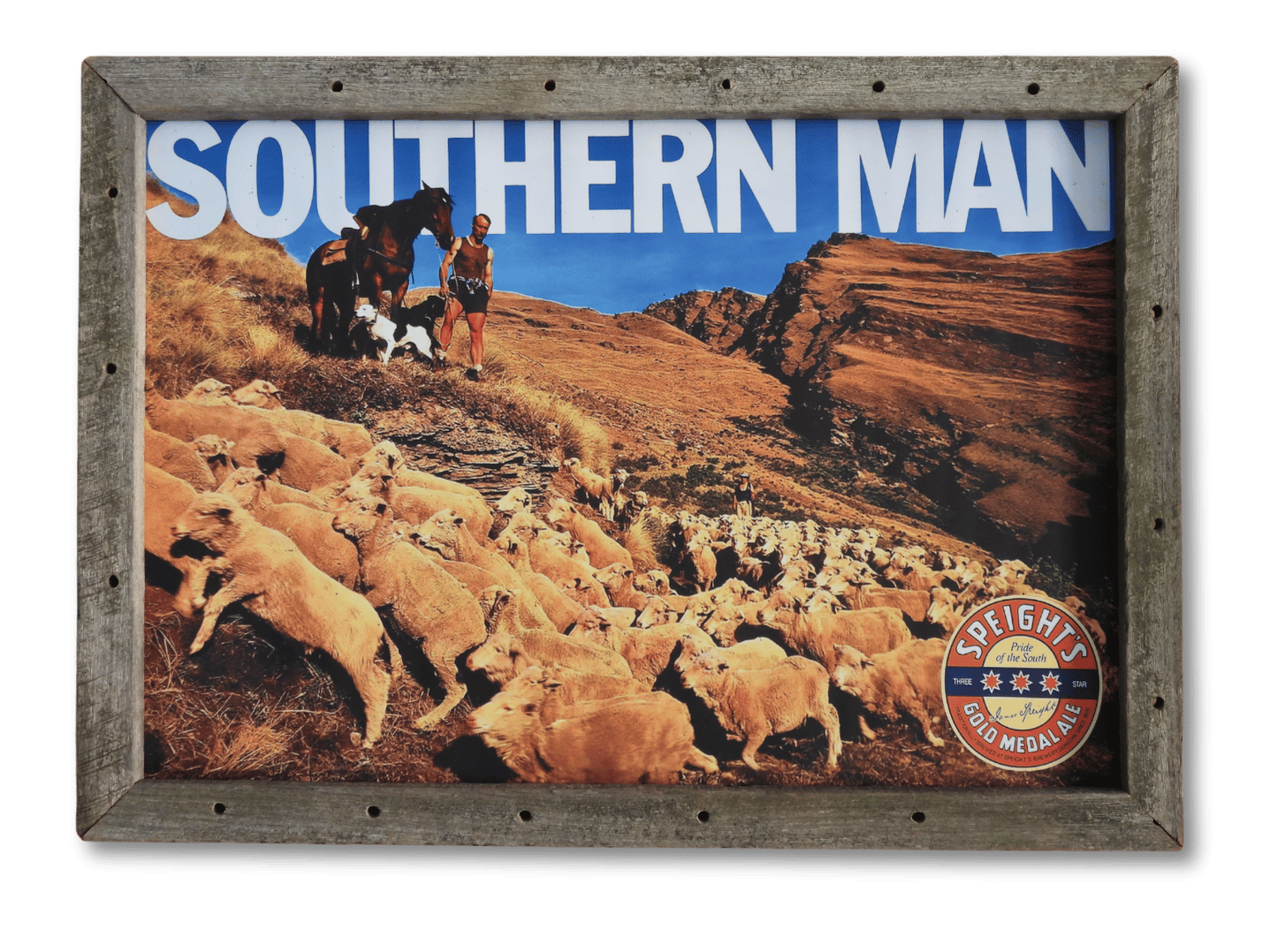 Southern Man - Herding (A1)