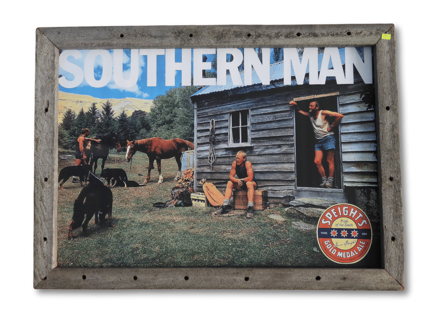 Southern Man - House (A1)