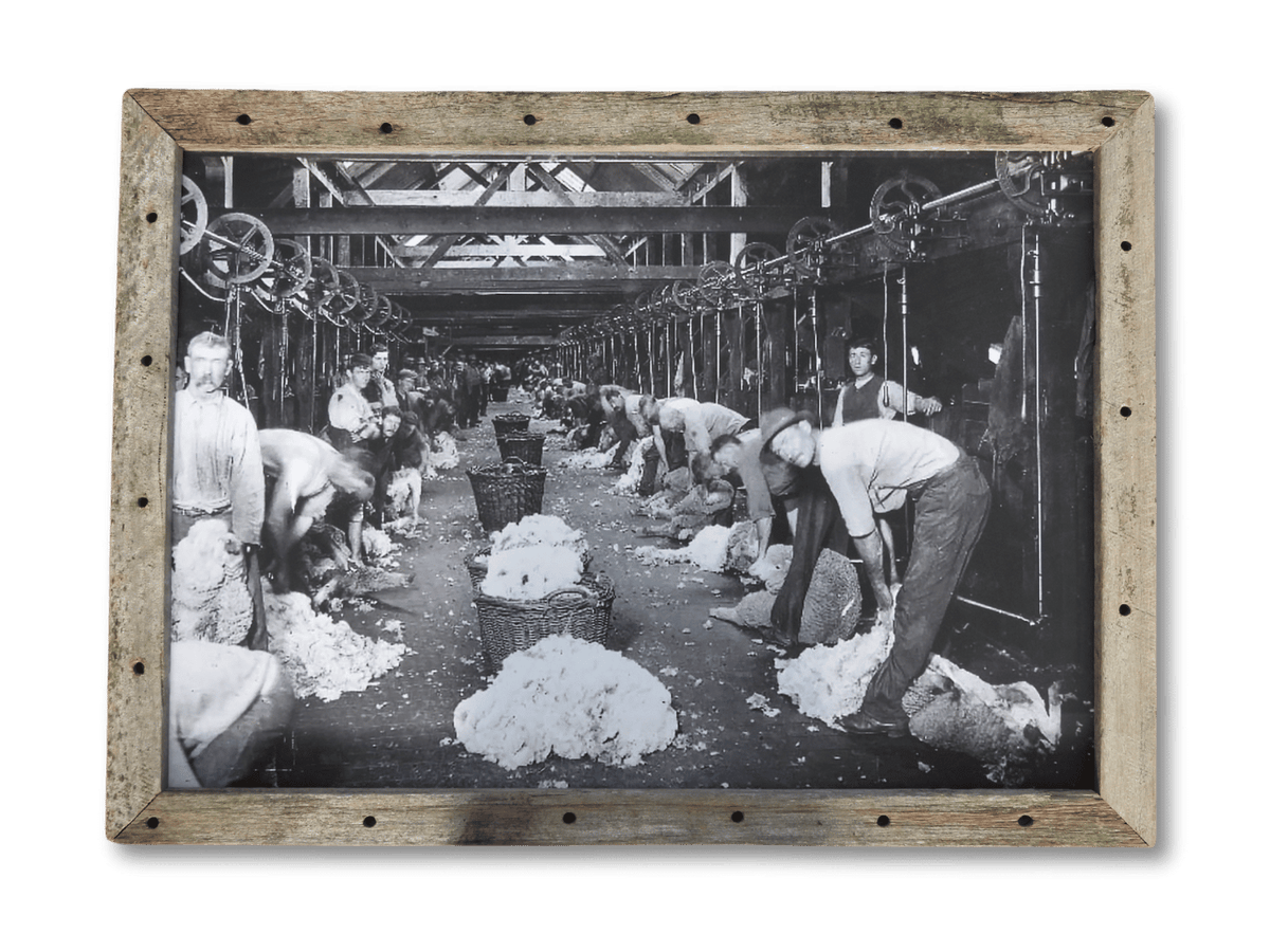 Toganmain Shearing Shed (A1)