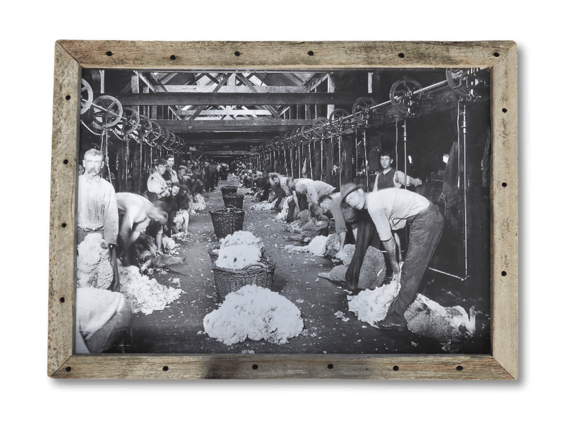 Toganmain Shearing Shed (A1)