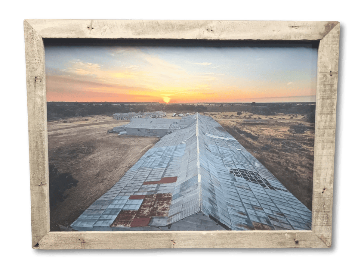 Toganmain Shearing Shed (A1)