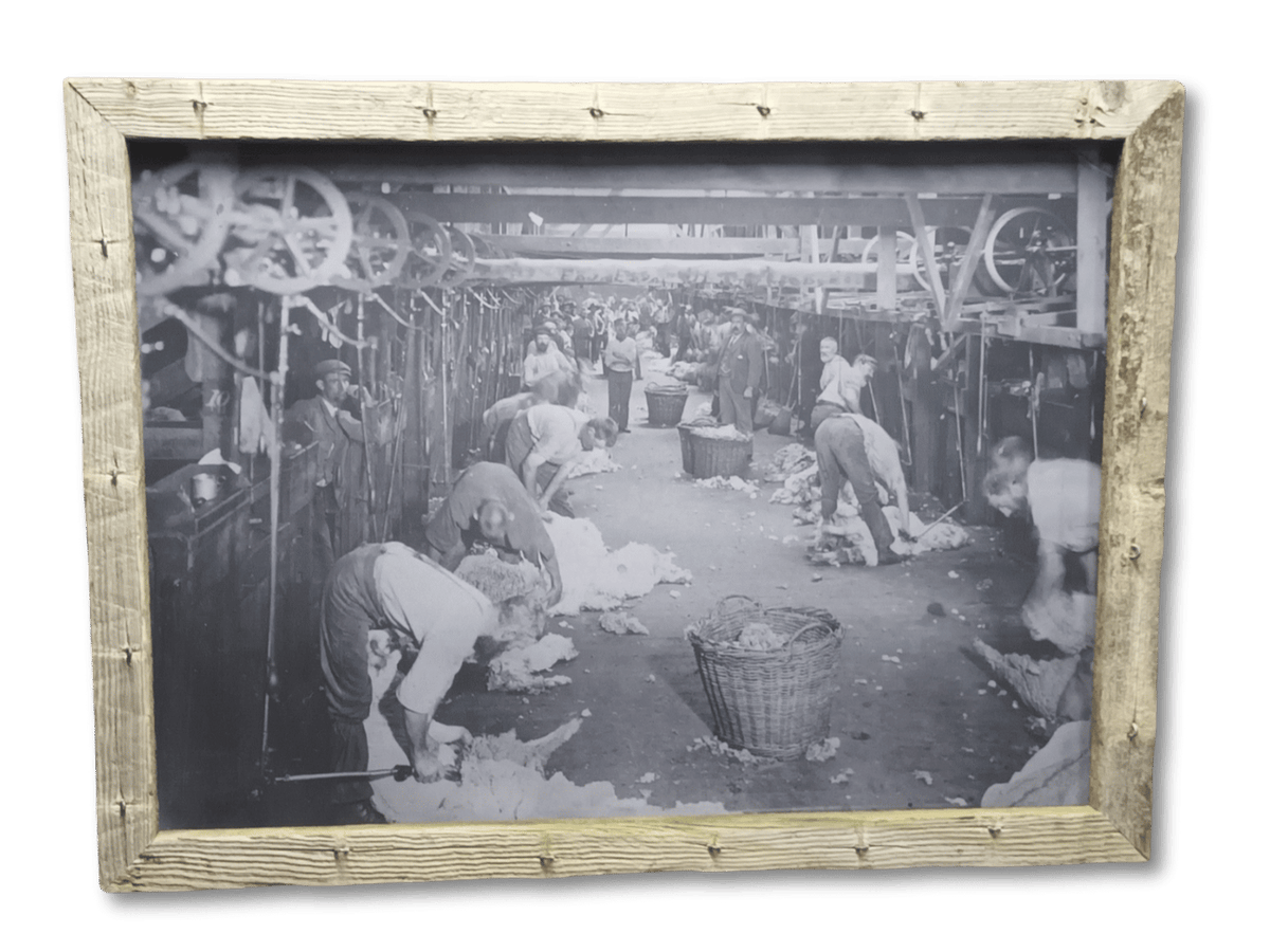 Old Shearing Shed - Toganmain (A1)