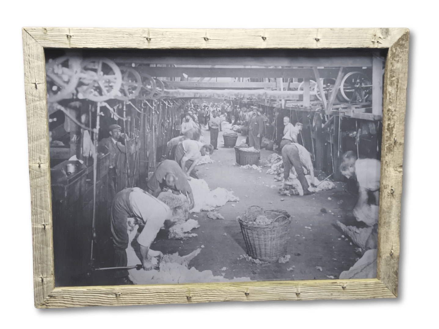 Old Shearing Shed - Toganmain (A1)