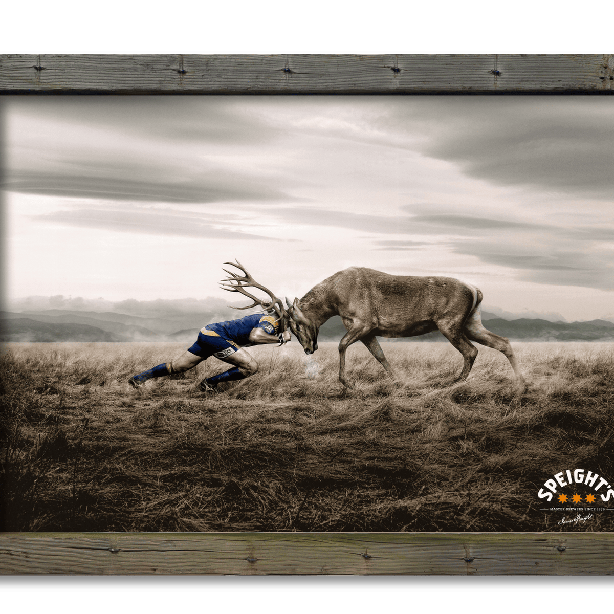 Speights - Stag v Man - Highlander