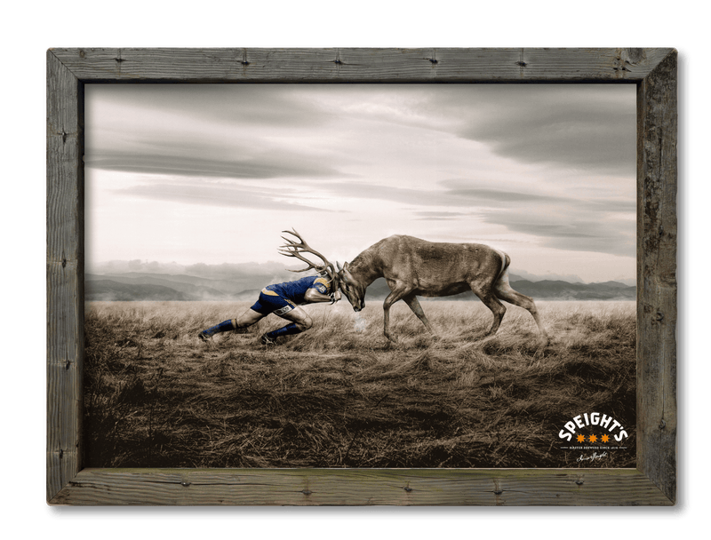 Speights - Stag v Man - Highlander