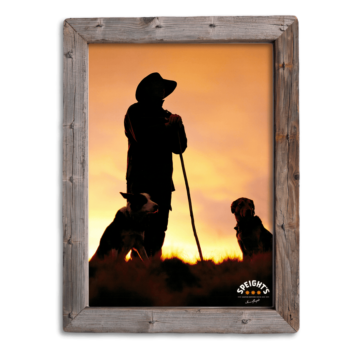 Speights - Man and Dogs