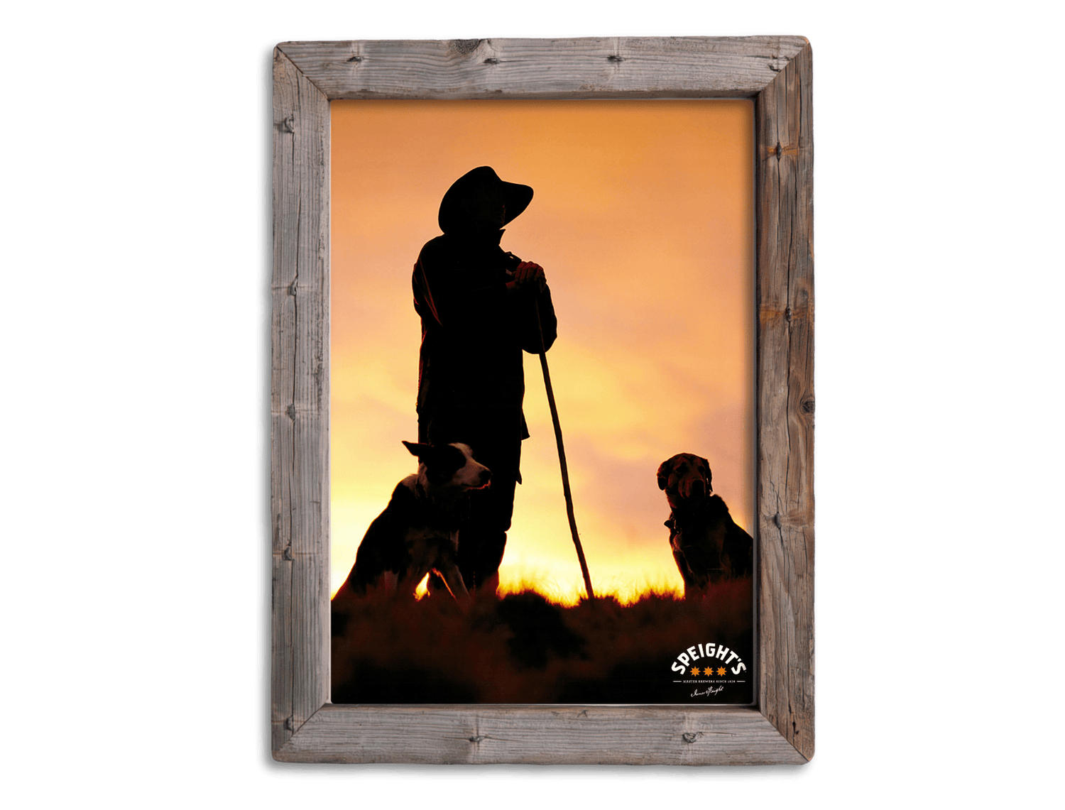 Speights - Man and Dogs